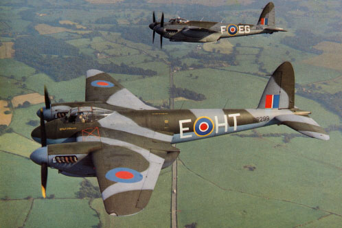 Mosquito