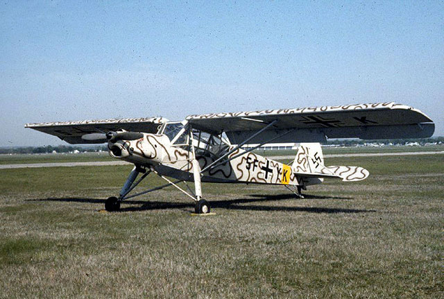 Storch